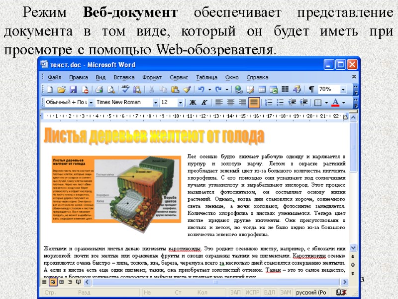 43 43 Режим Веб-документ обеспечивает представление документа в том виде, который он будет иметь